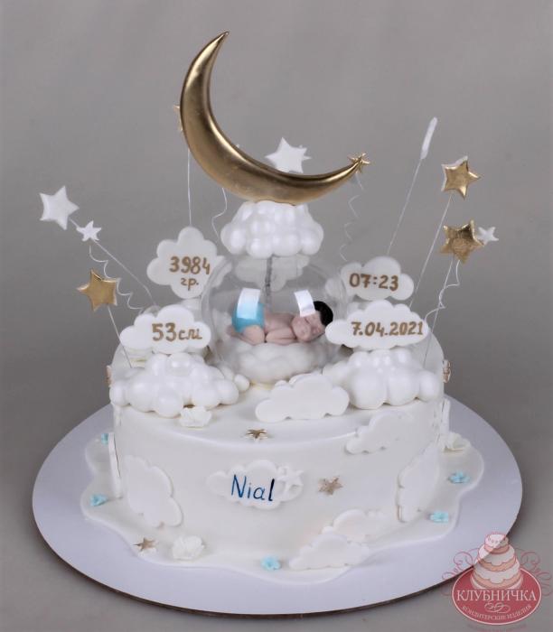 Детский торт "Младенец под луной" 